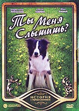 Ты меня слышишь?